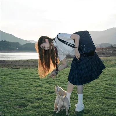 猫贼